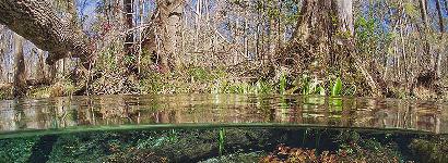 Naked Spring Run Landscape