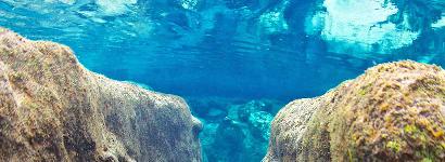 Salt Spring Natural Rock Path