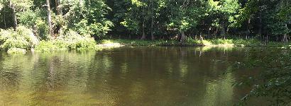 Poe Springs River View #2