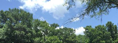 Poe Springs River View #3