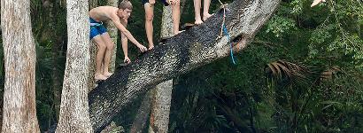 Chassahowitzka Rope Swing