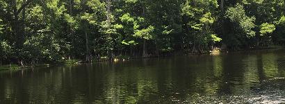 Poe Springs River View #4