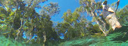 Three Sister Springs Under Water