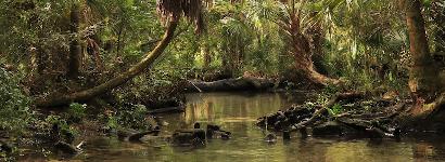 Floating with a great view