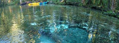 Great look to explore