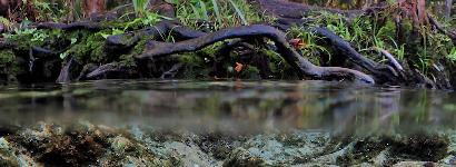 Over-under with nice color