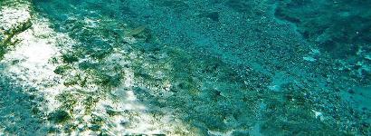 Over-under wuth nice sunlight