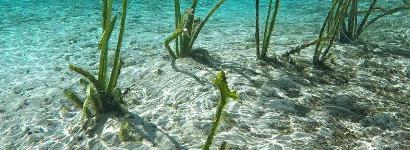 Beautiful underneath