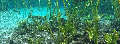 Sunlight on the white sand