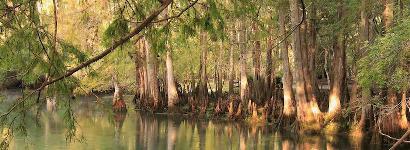 A little sunlight goes a long way