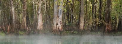 Clear view with a little mist