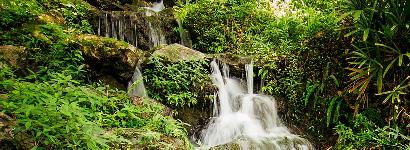 Florida's Waterfalls (Rainbow Springs)