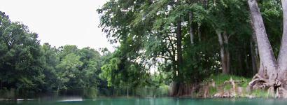 Rum Island Above and Beneath the Surface