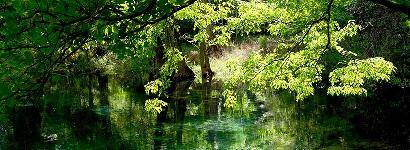 Blue Springs, Gilchrist