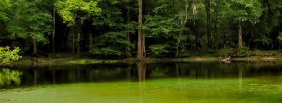 Rum Island Ft. White