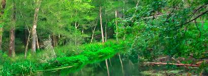 The Canoe/Kayak launch Ichetucknee