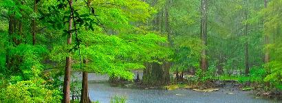 Wes Skiles Peacock Springs swimming area