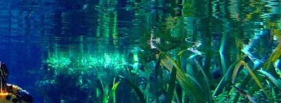 Good Morning Sunshine