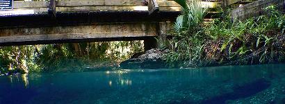 Rock Springs - Main cross bridge