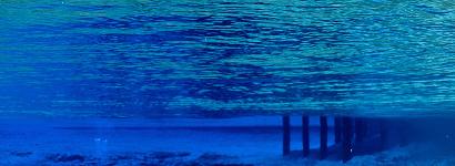 Shades of Blue - Blue Spring, Gilchrist County, Florida