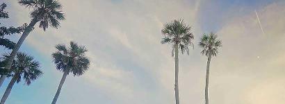 Sanlando Spring - Serenity