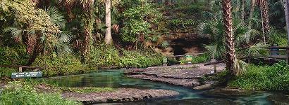 Rock Springs - Beauty