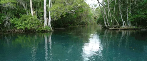 Chassahowitzka River