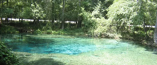 Ginnie Springs