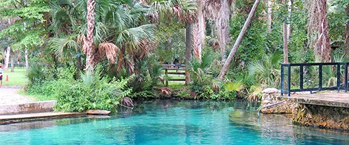 Juniper Springs
