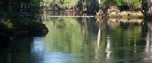 Manatee Springs State Park