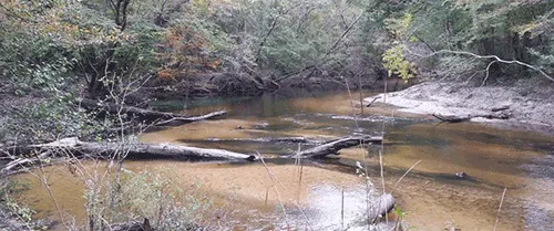 Ponce De Leon Springs